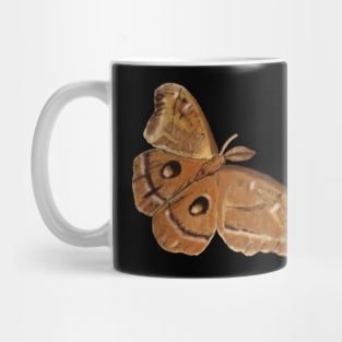 Night Moth, Hyalophora cecropia, Illustration Mug